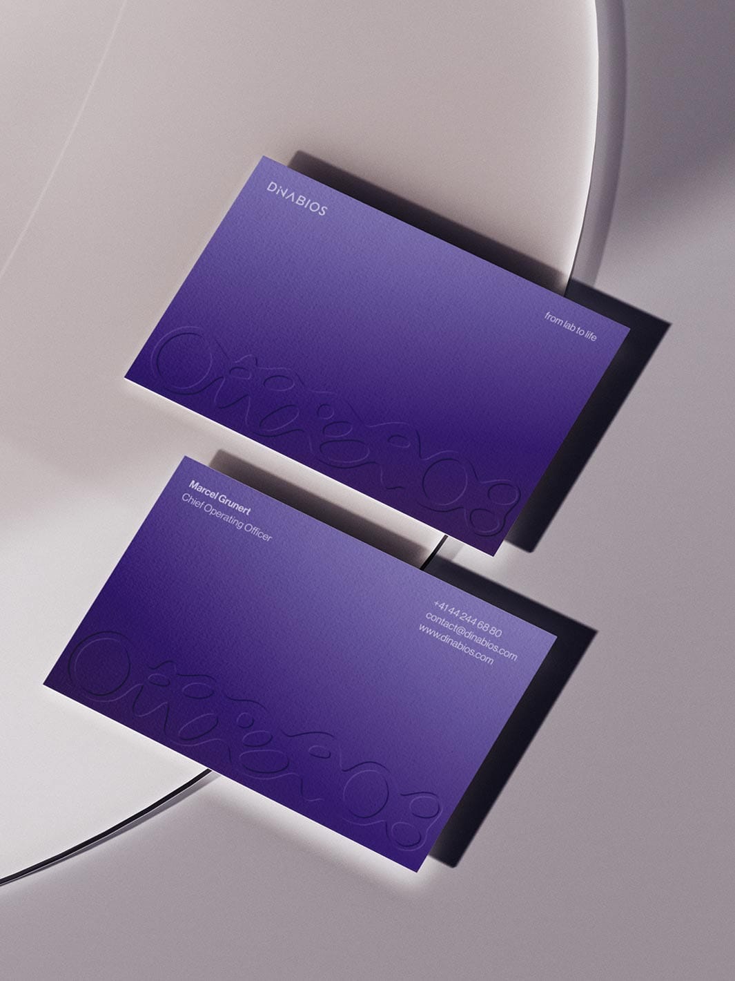 Two violet DiNABIOS business cards floating above a light surface