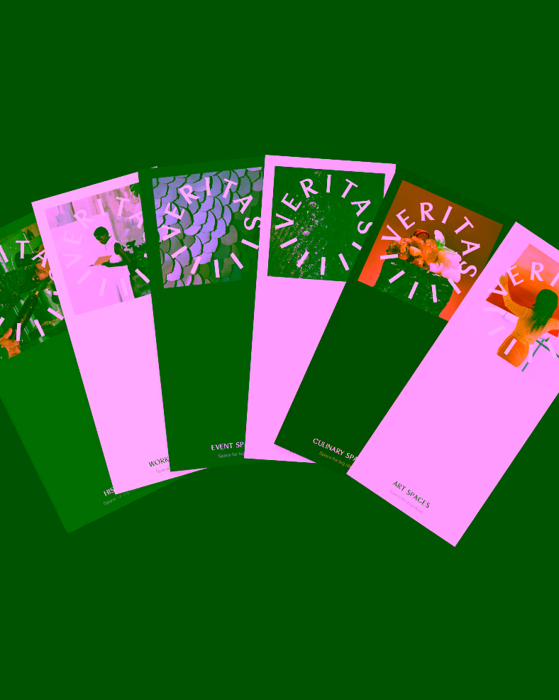 Fanned-out VERITAS brochures in different colours